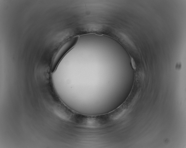 X0000091880264200709261358