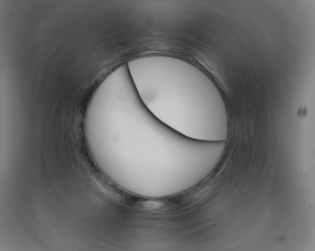 X0000091880265200709261358