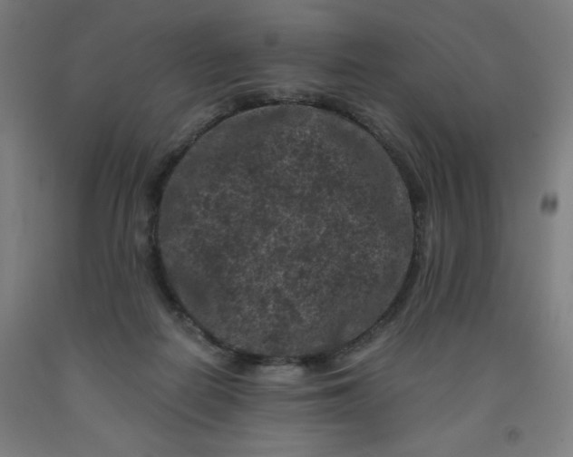 X0000091880266200709261358