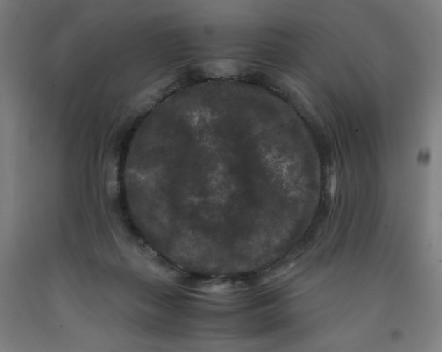 X0000091880267200709261358