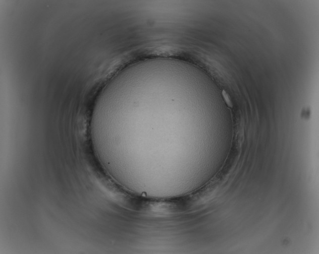 X0000091880268200709261358