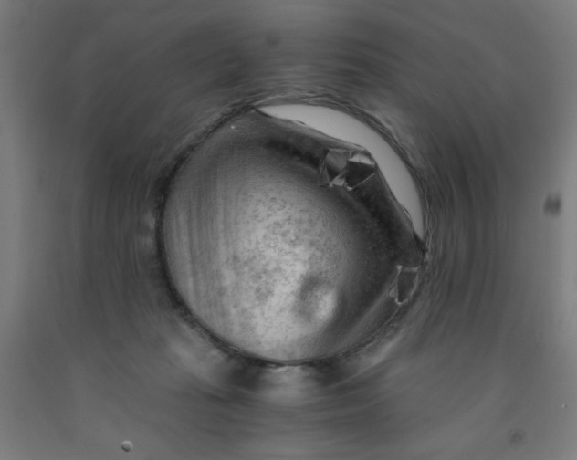 X0000091880269200709261358