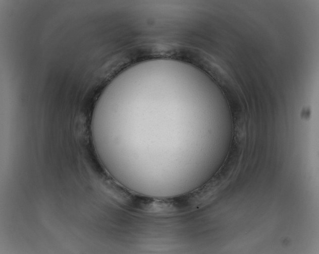 X0000091880270200709261358