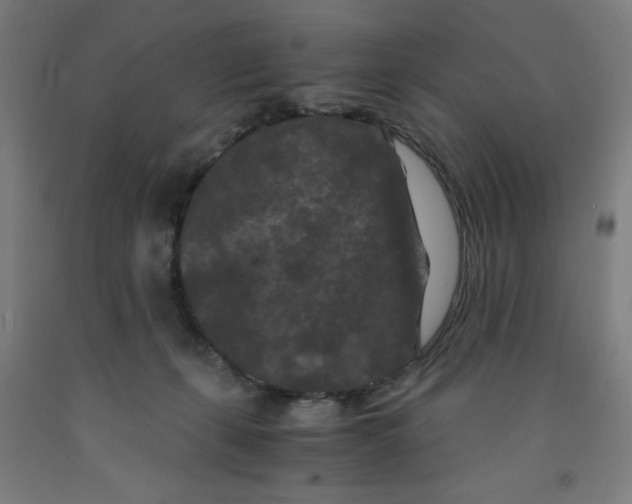 X0000091880271200709261358