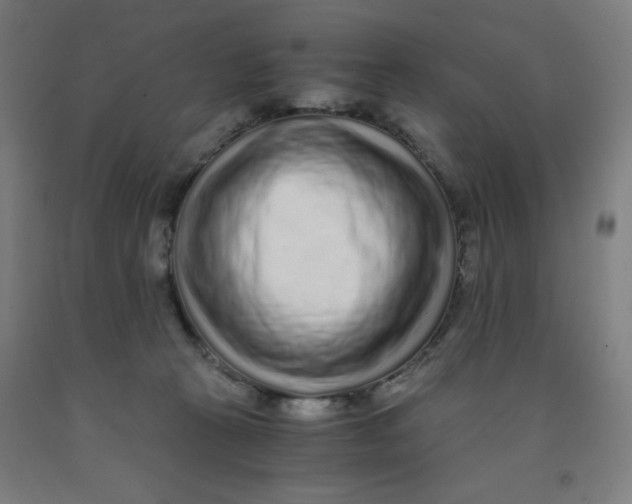 X0000091880273200709261358