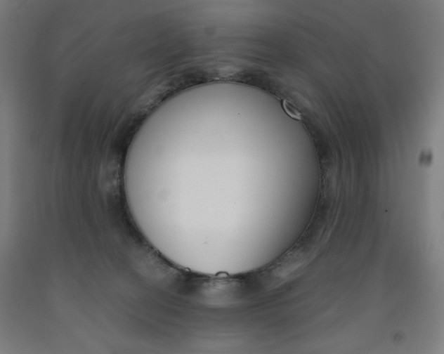 X0000091880274200709261358