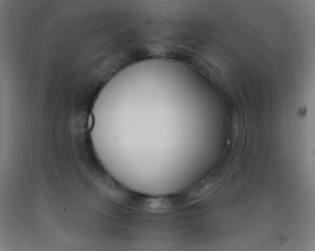 X0000091880275200709261358