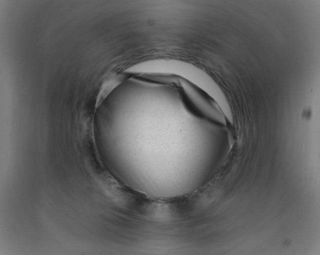 X0000091880276200709261358