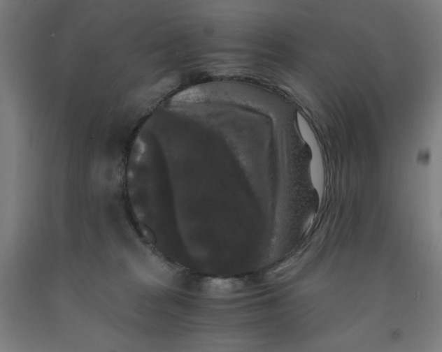 X0000091880277200709261358