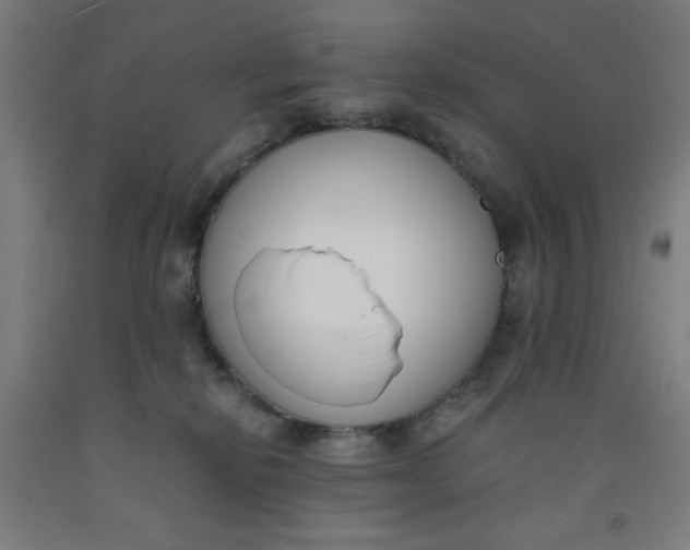 X0000091880278200709261358