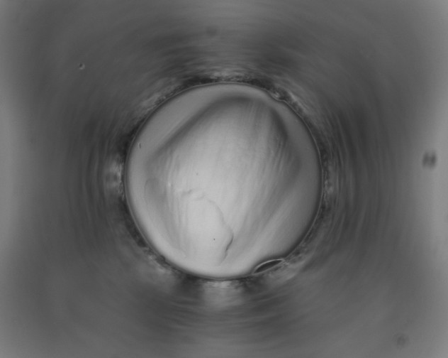 X0000091880281200709261358