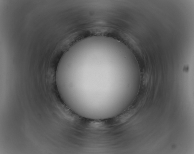 X0000091880283200709261358