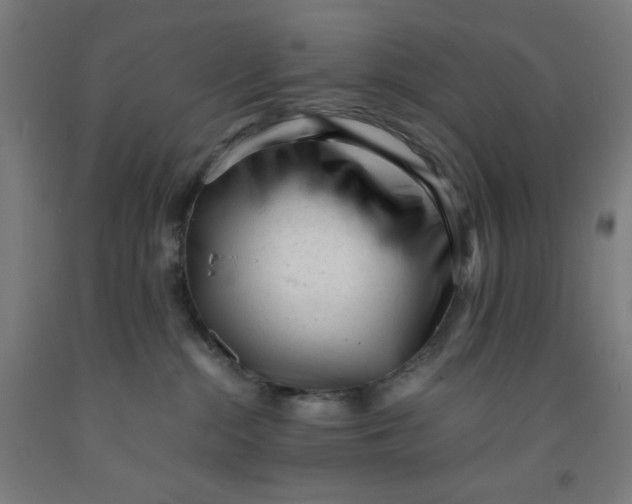 X0000091880284200709261358