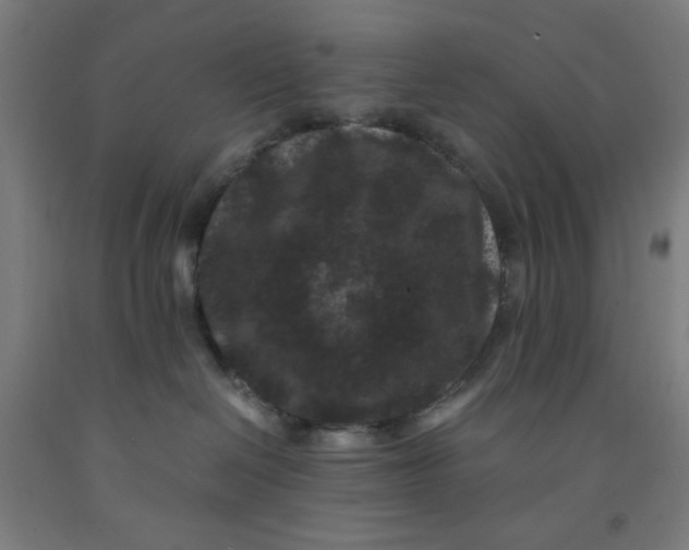 X0000091880286200709261358