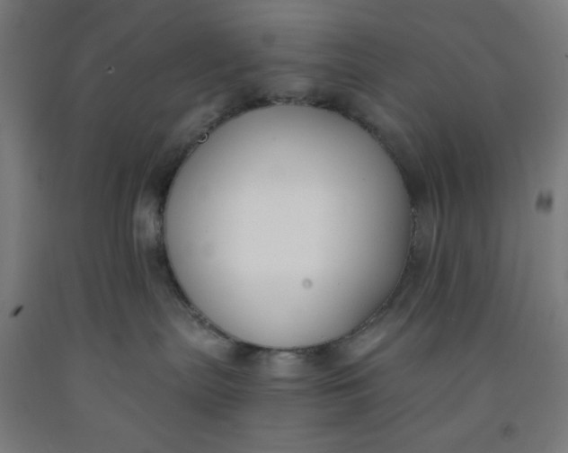 X0000091880287200709261358