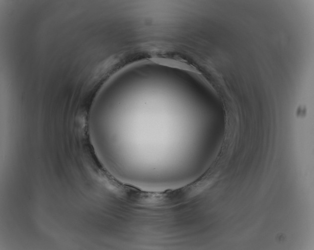 X0000091880288200709261358