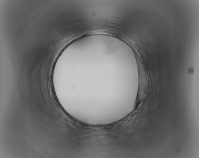 X0000091880289200709261357