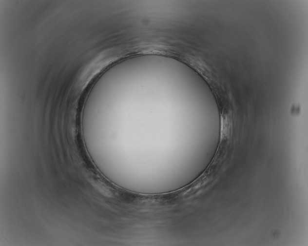 X0000091880291200709261357