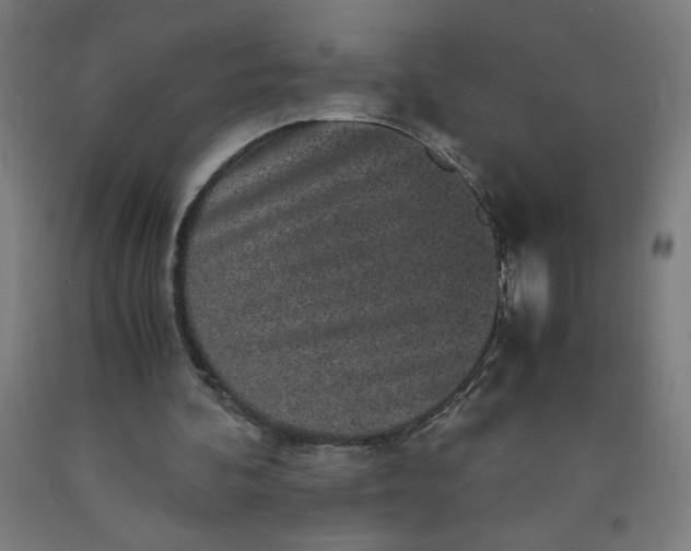 X0000091880292200709261357