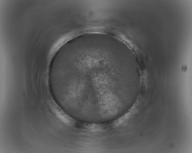 X0000091880293200709261357