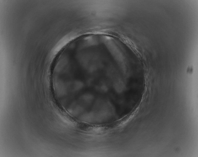 X0000091880295200709261357