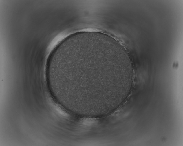 X0000091880296200709261357