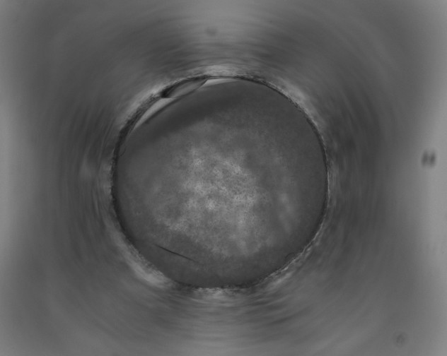 X0000091880297200709261357