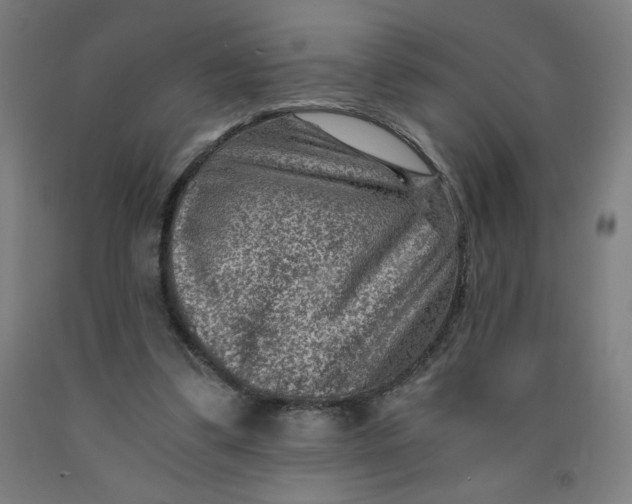 X0000091880299200709261357