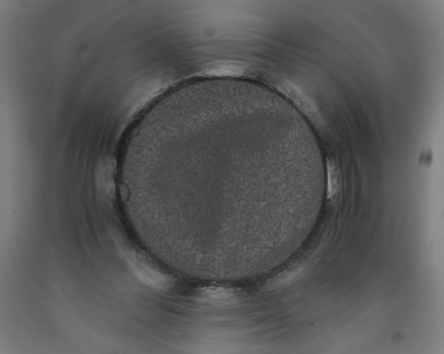 X0000091880300200709261357