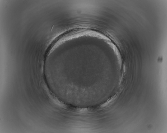 X0000091880301200709261357