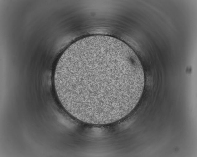 X0000091880302200709261357