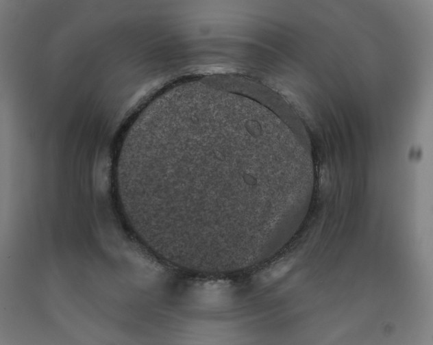 X0000091880304200709261357