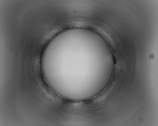 X0000091880306200709261357