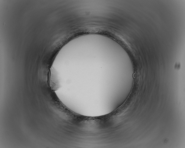 X0000091880307200709261357