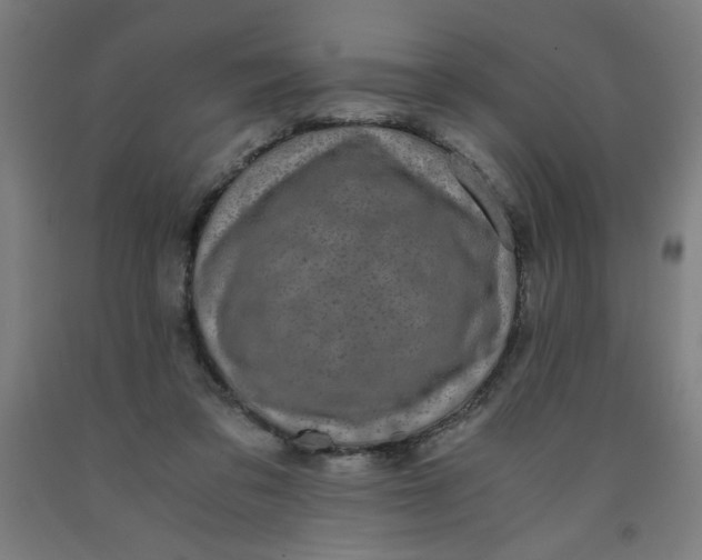 X0000091880309200709261357