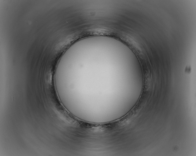 X0000091880310200709261357