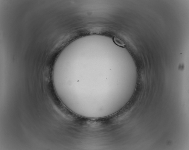 X0000091880311200709261357