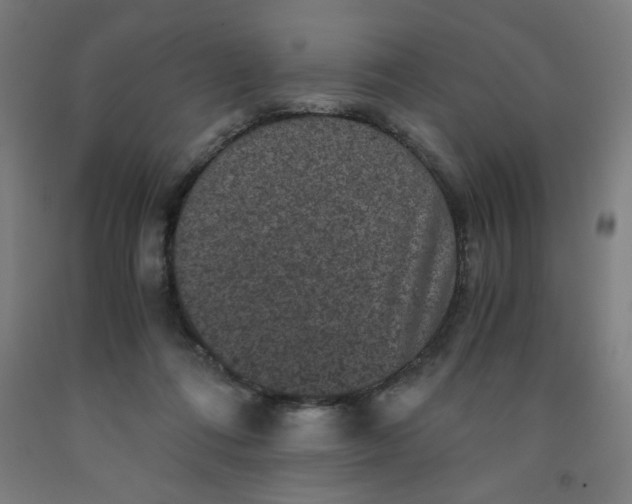 X0000091880312200709261357