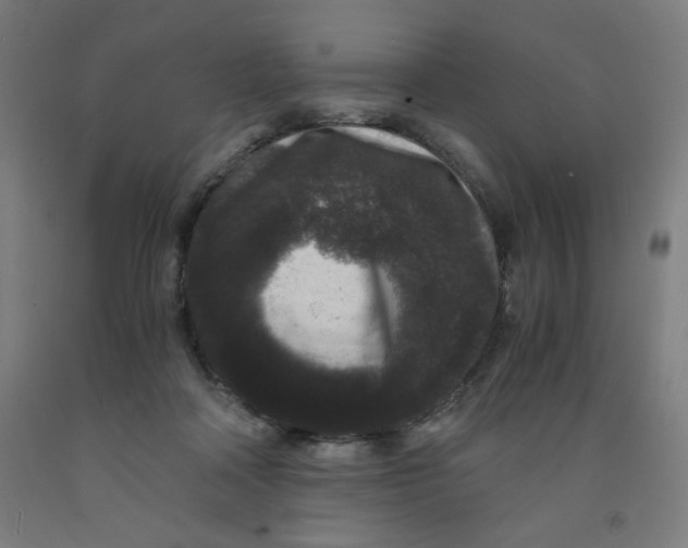 X0000091880314200709261357