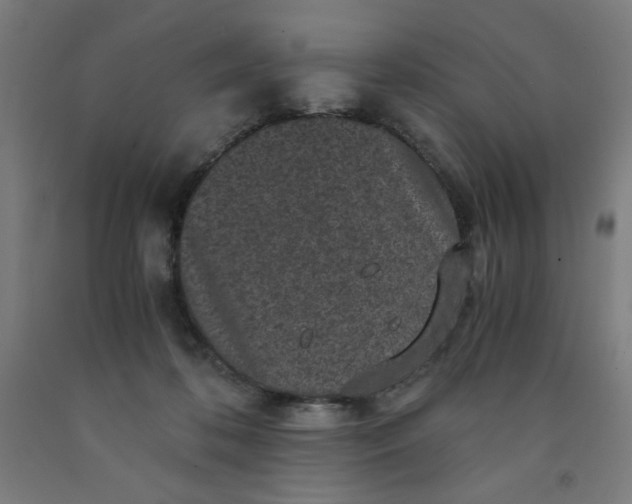 X0000091880316200709261357