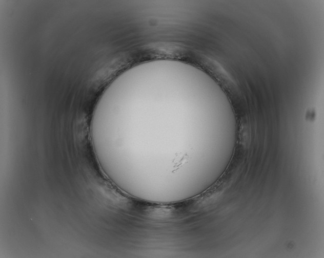 X0000091880318200709261357