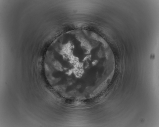 X0000091880319200709261357