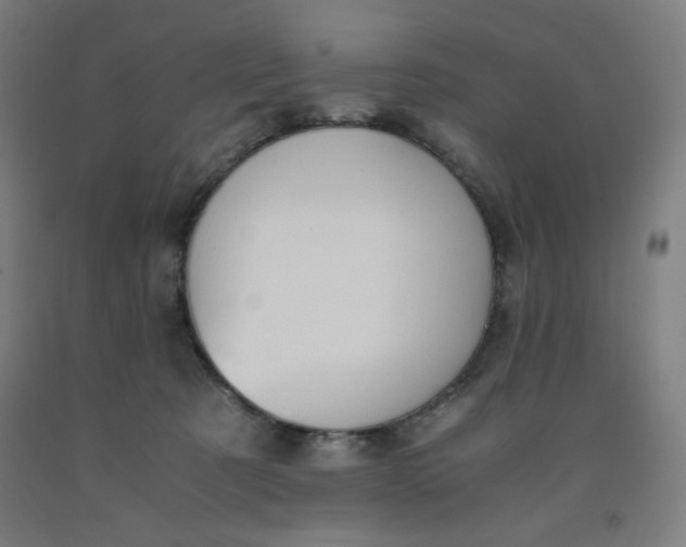 X0000091880321200709261357