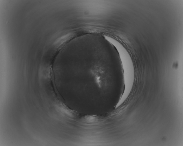 X0000091880325200709261357