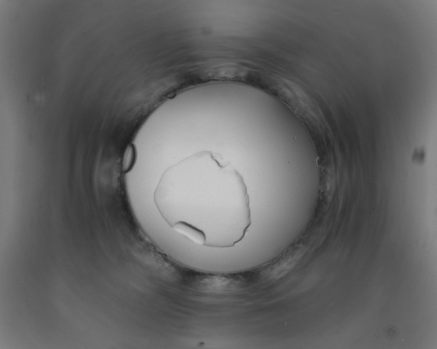 X0000091880326200709261357