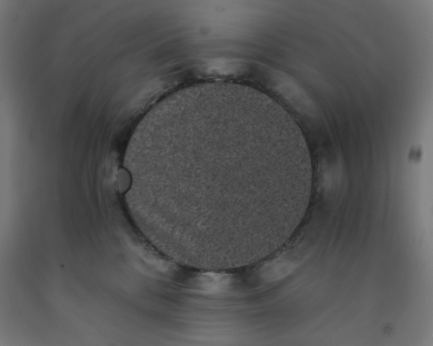 X0000091880328200709261357