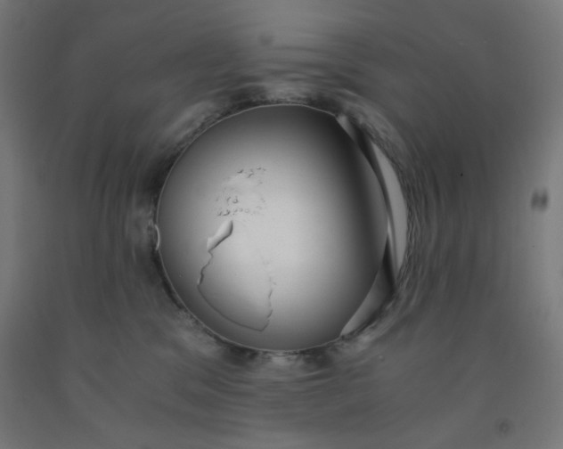 X0000091880329200709261357