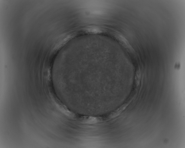 X0000091880330200709261357