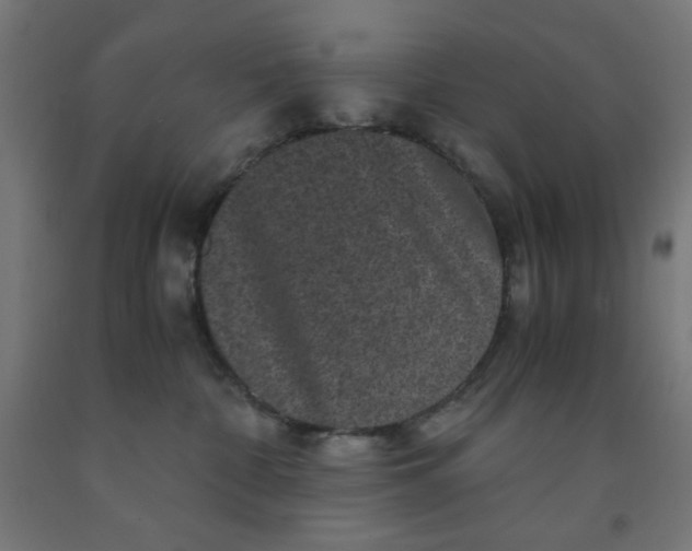 X0000091880332200709261357