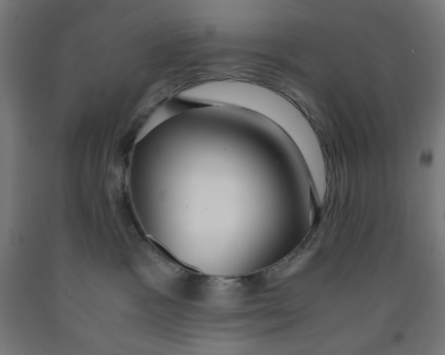 X0000091880333200709261357